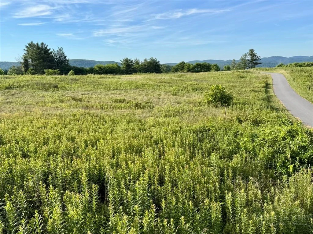 Image number 2 for the current listing