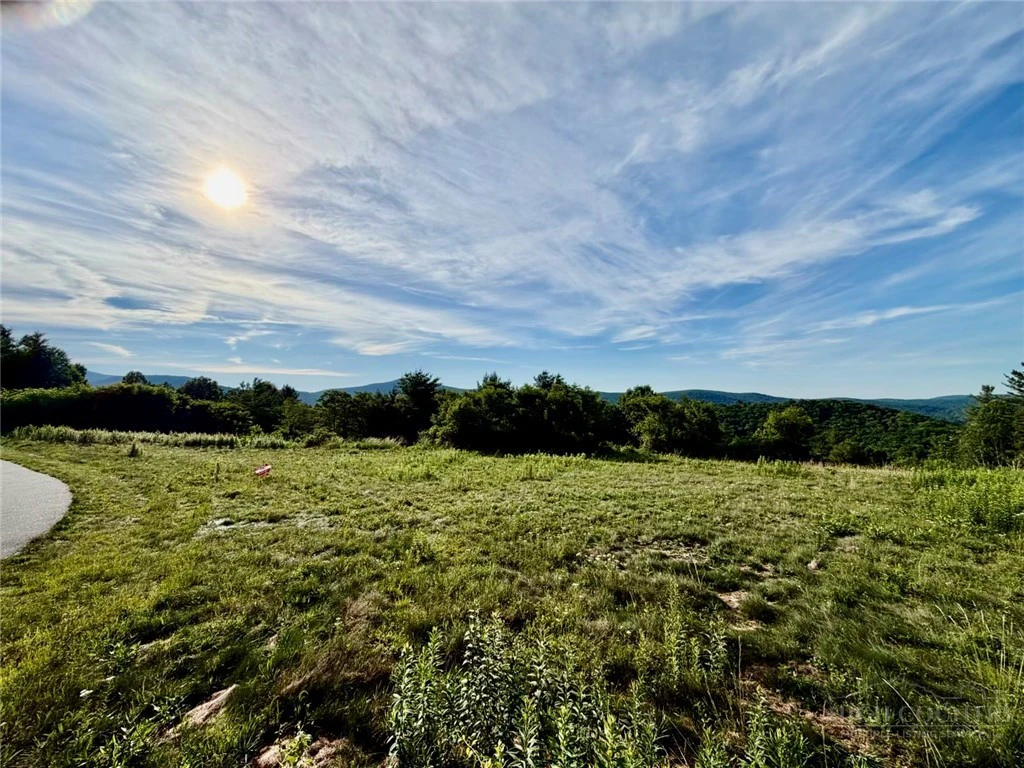 Image number 3 for the current listing
