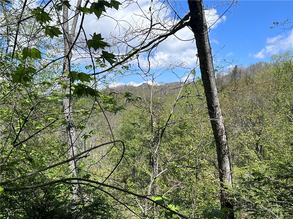 Image number 2 for the current listing