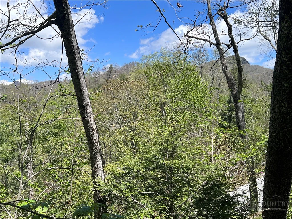 Image number 3 for the current listing