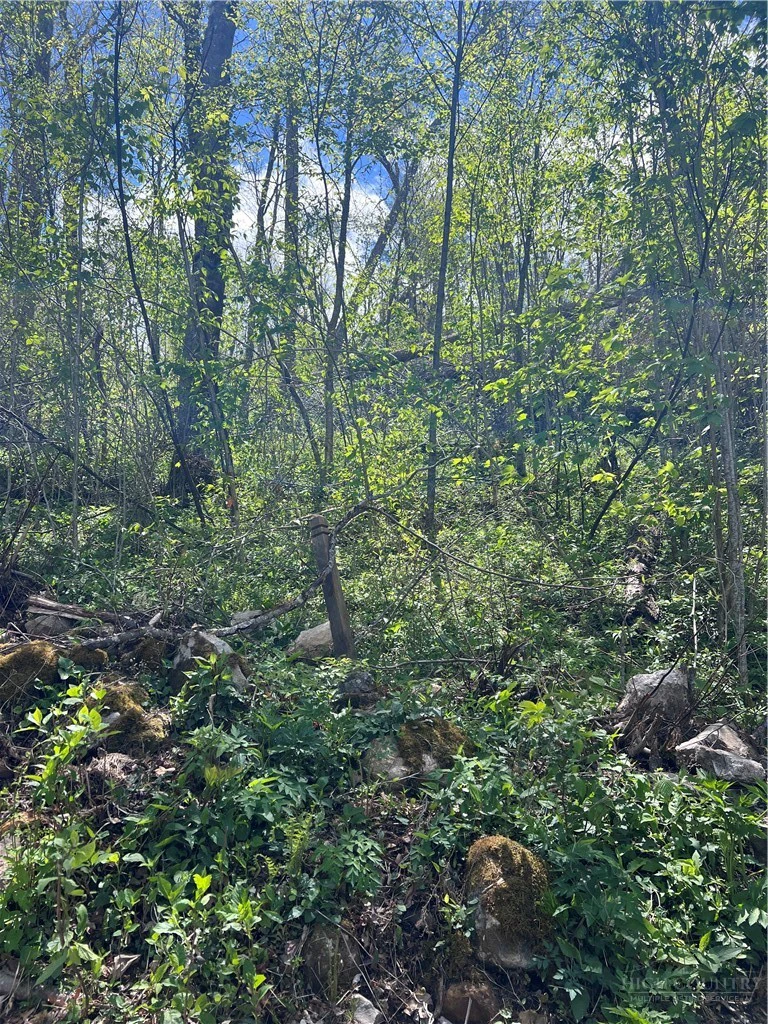 Image number 4 for the current listing