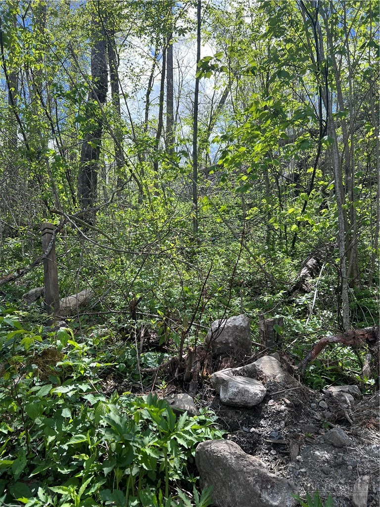 Image number 6 for the current listing