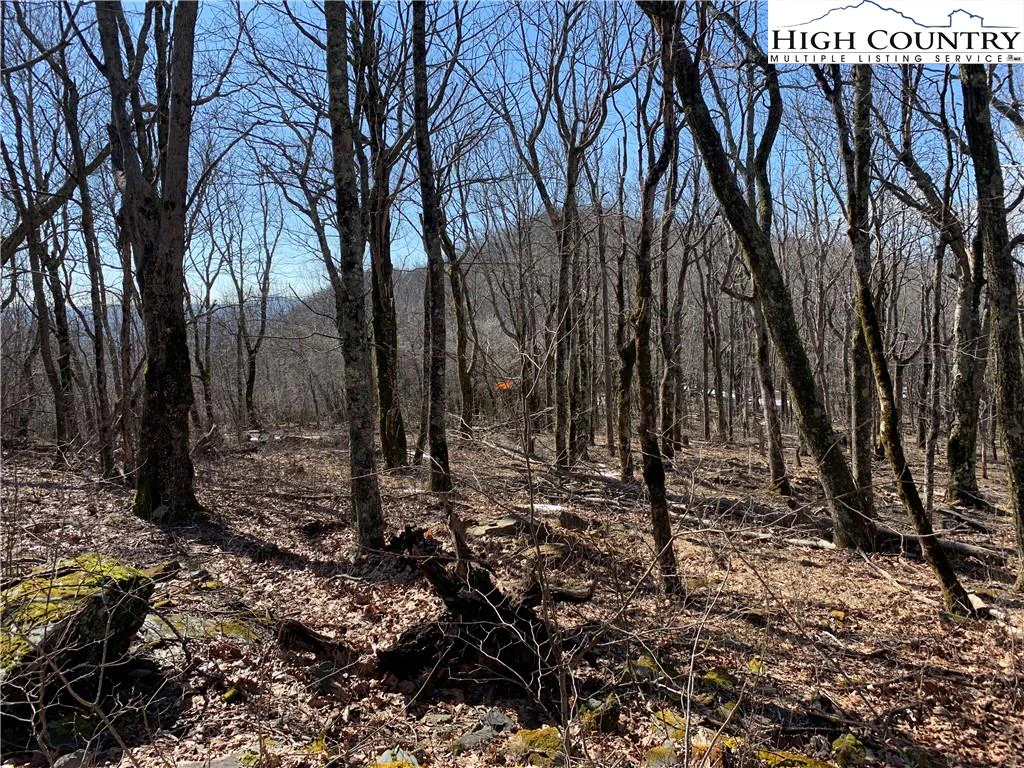 Image number 11 for the current listing