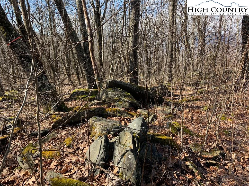 Image number 12 for the current listing