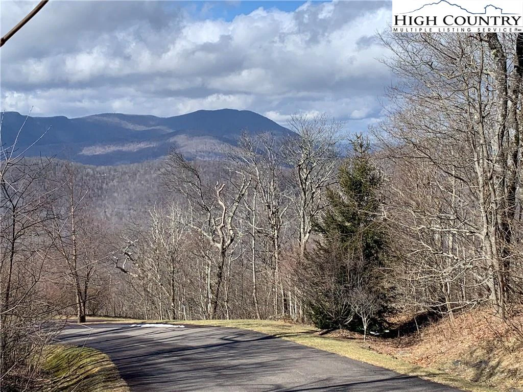 Image number 14 for the current listing