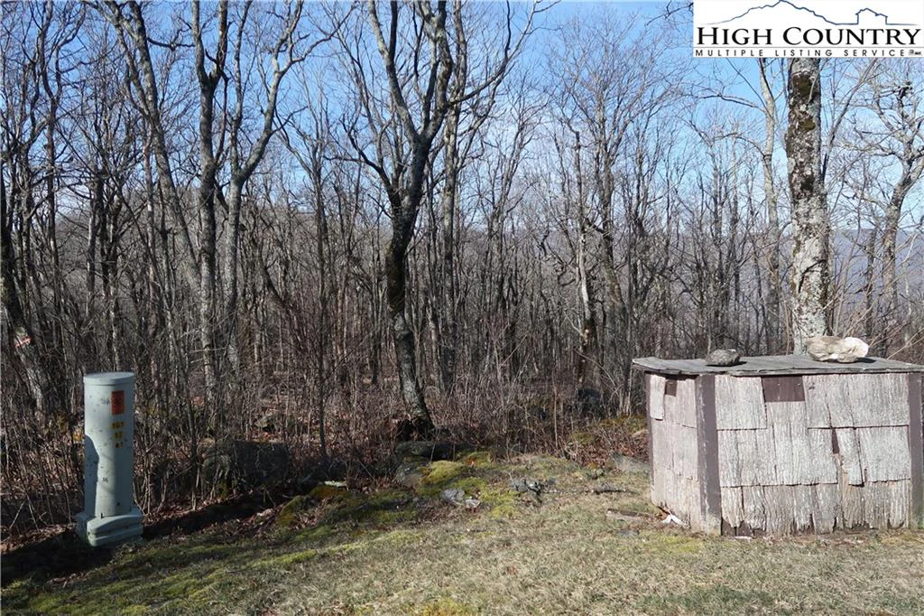 Image number 6 for the current listing