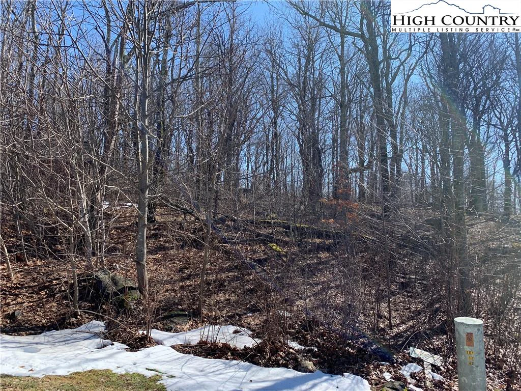 Image number 7 for the current listing