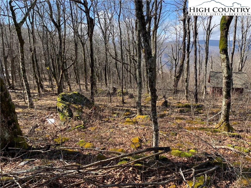 Image number 9 for the current listing