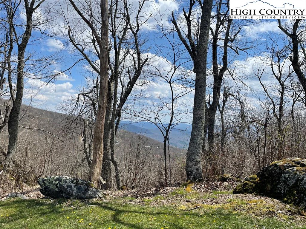 Image number 11 for the current listing