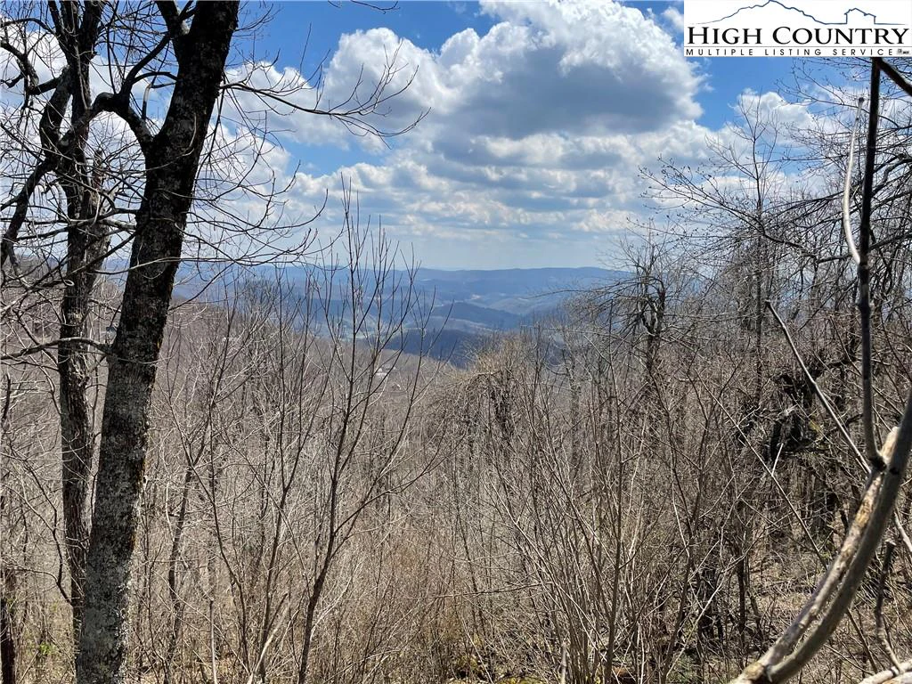 Image number 5 for the current listing