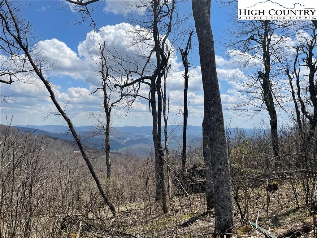 Image number 6 for the current listing
