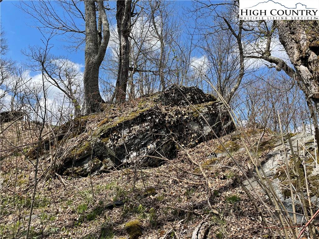 Image number 7 for the current listing