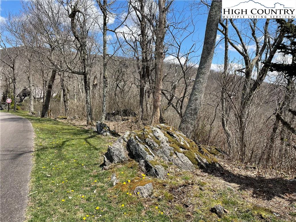 Image number 8 for the current listing