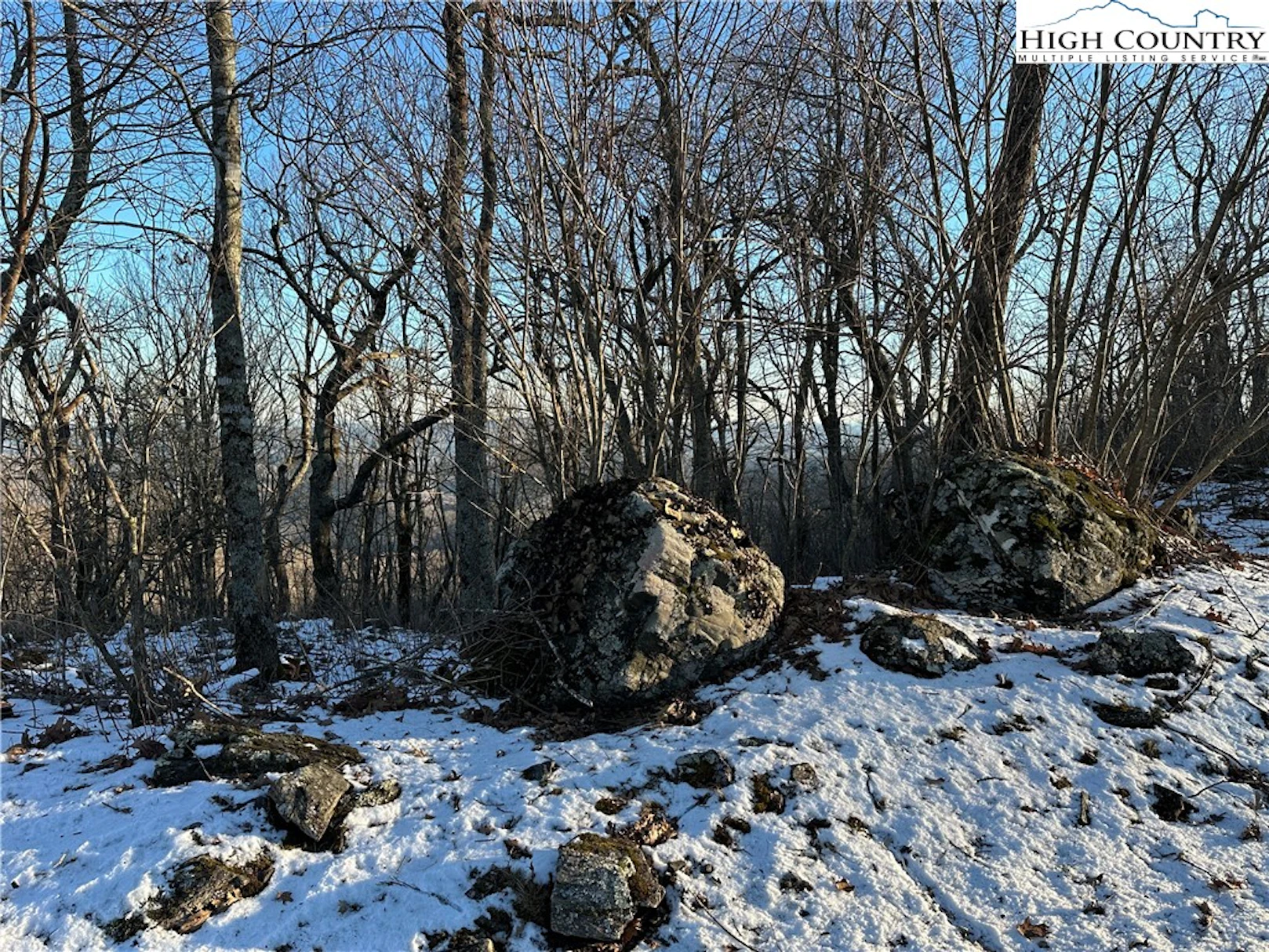 Image number 5 for the current listing