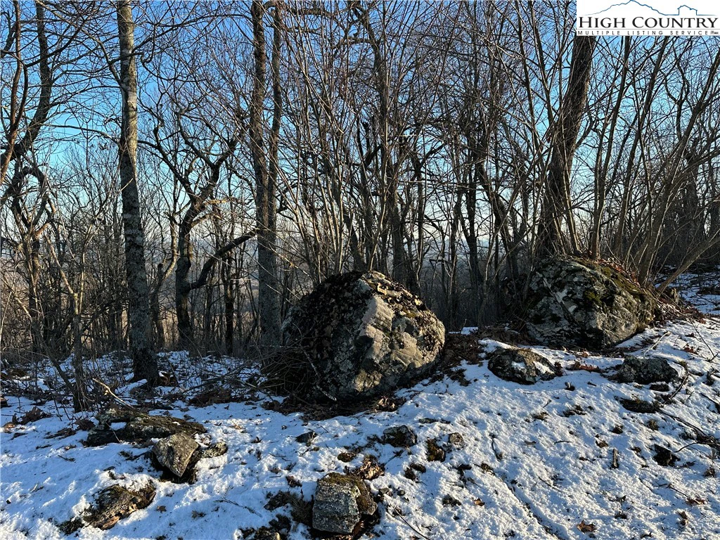 Image number 5 for the current listing