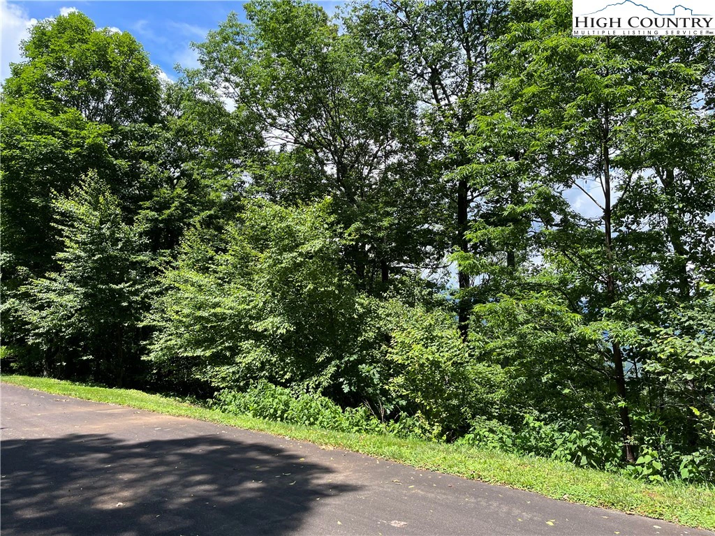 Image number 5 for the current listing