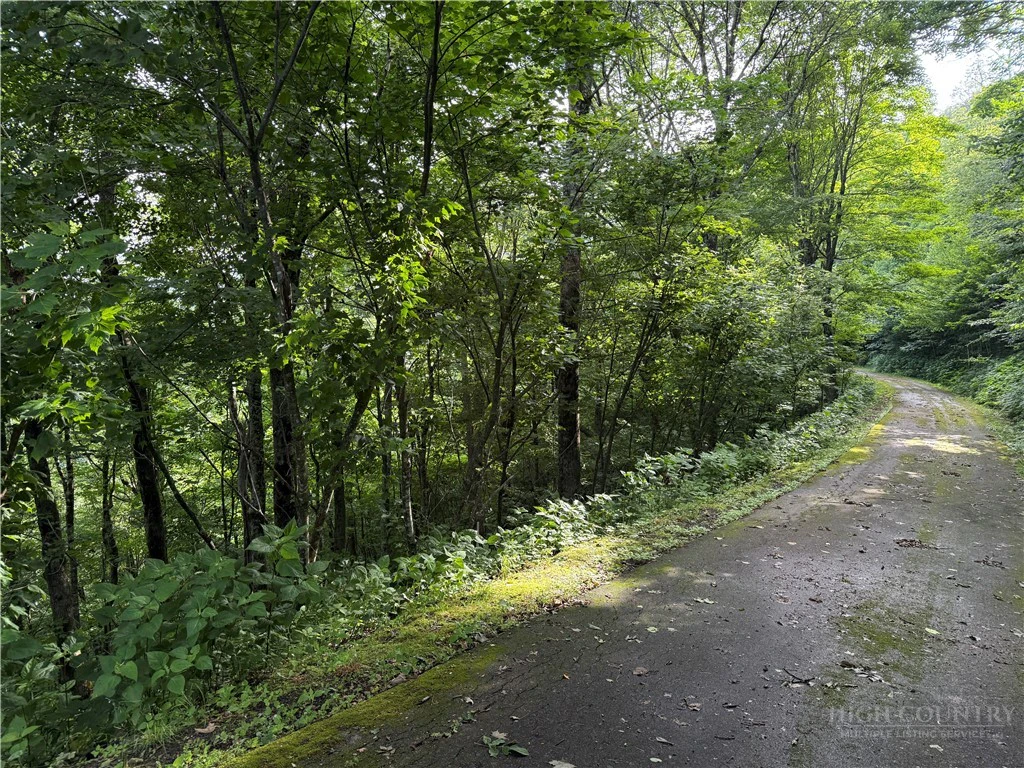 Image number 4 for the current listing