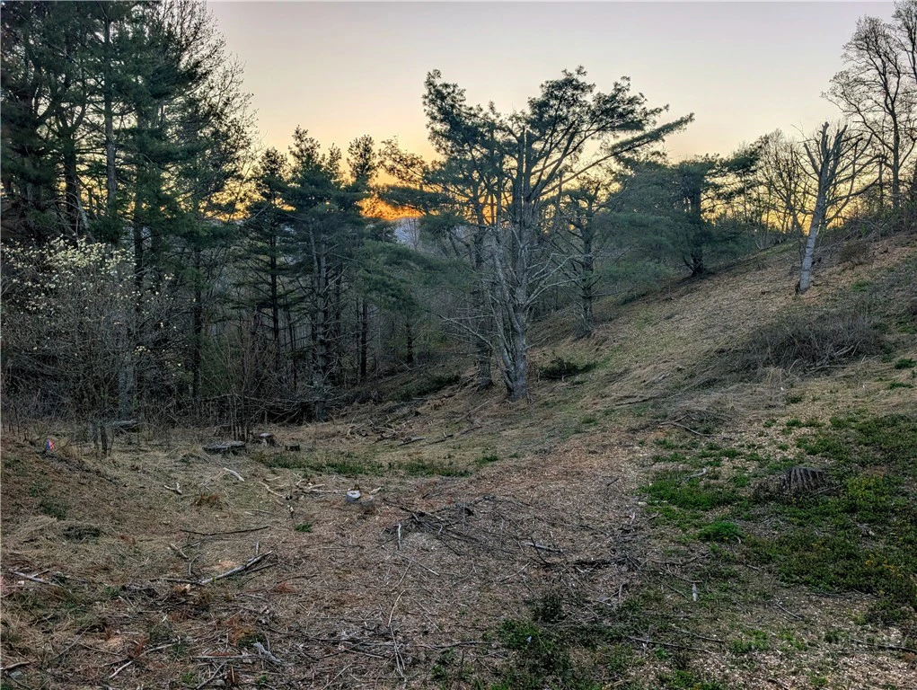 Image number 3 for the current listing