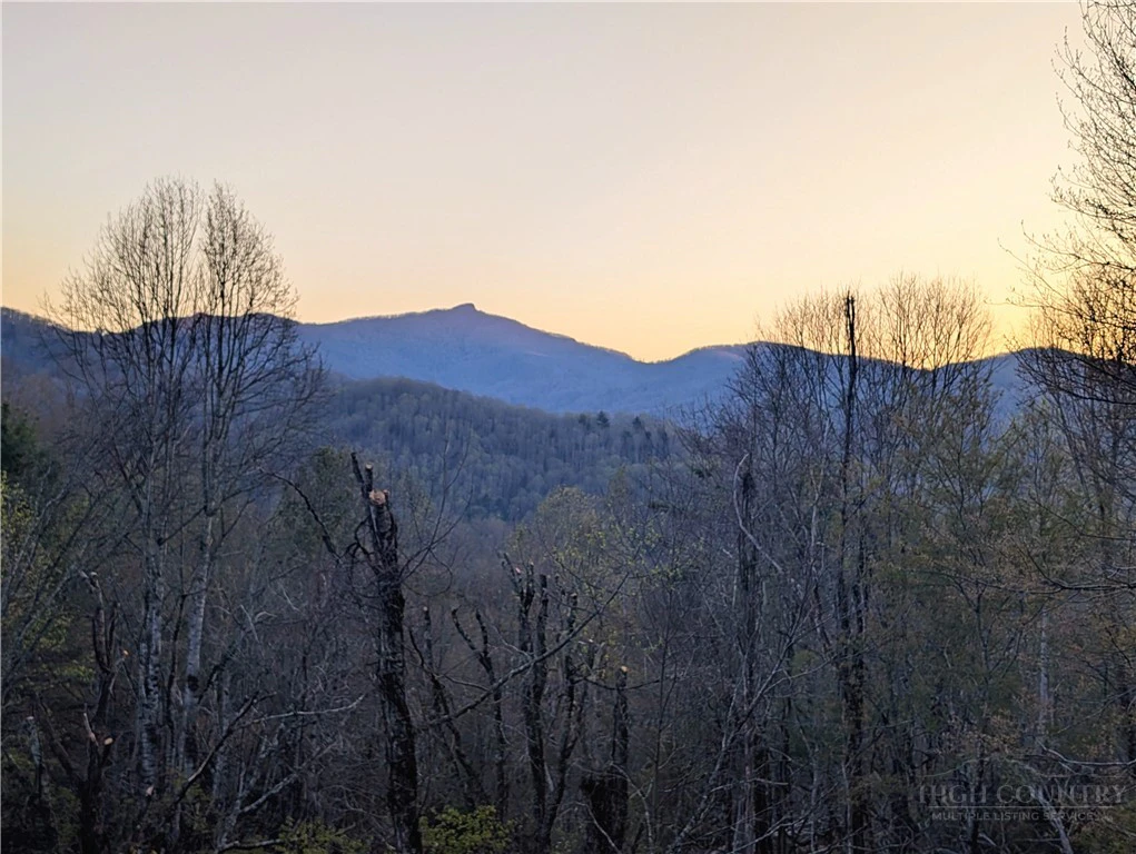 Image number 1 for the current listing