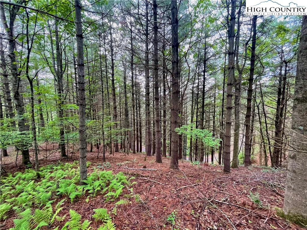 Image number 1 for the current listing