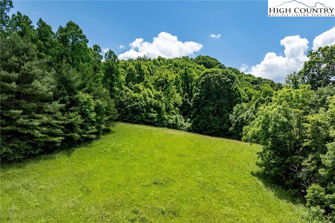 Image number 14 for the current listing