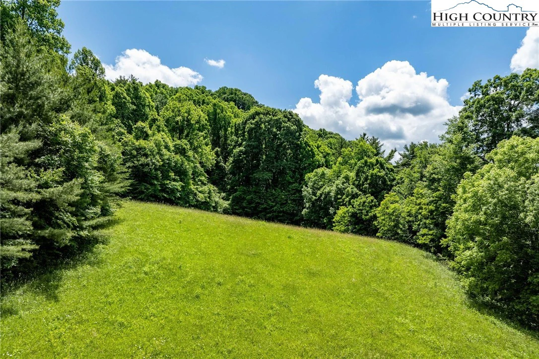 Image number 3 for the current listing