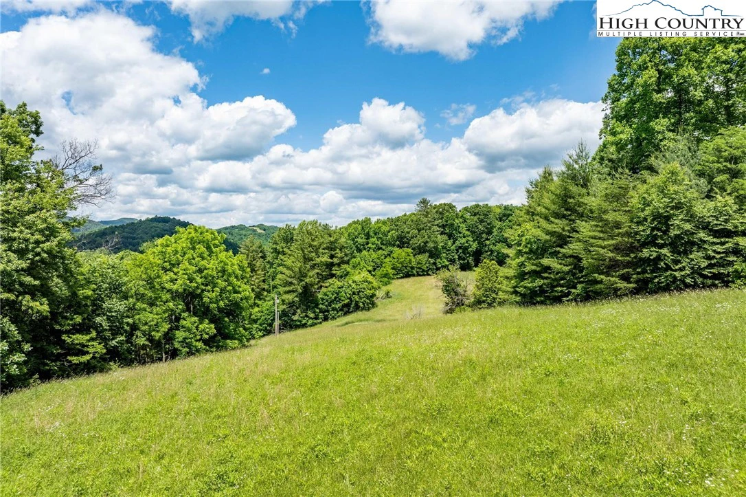 Image number 4 for the current listing