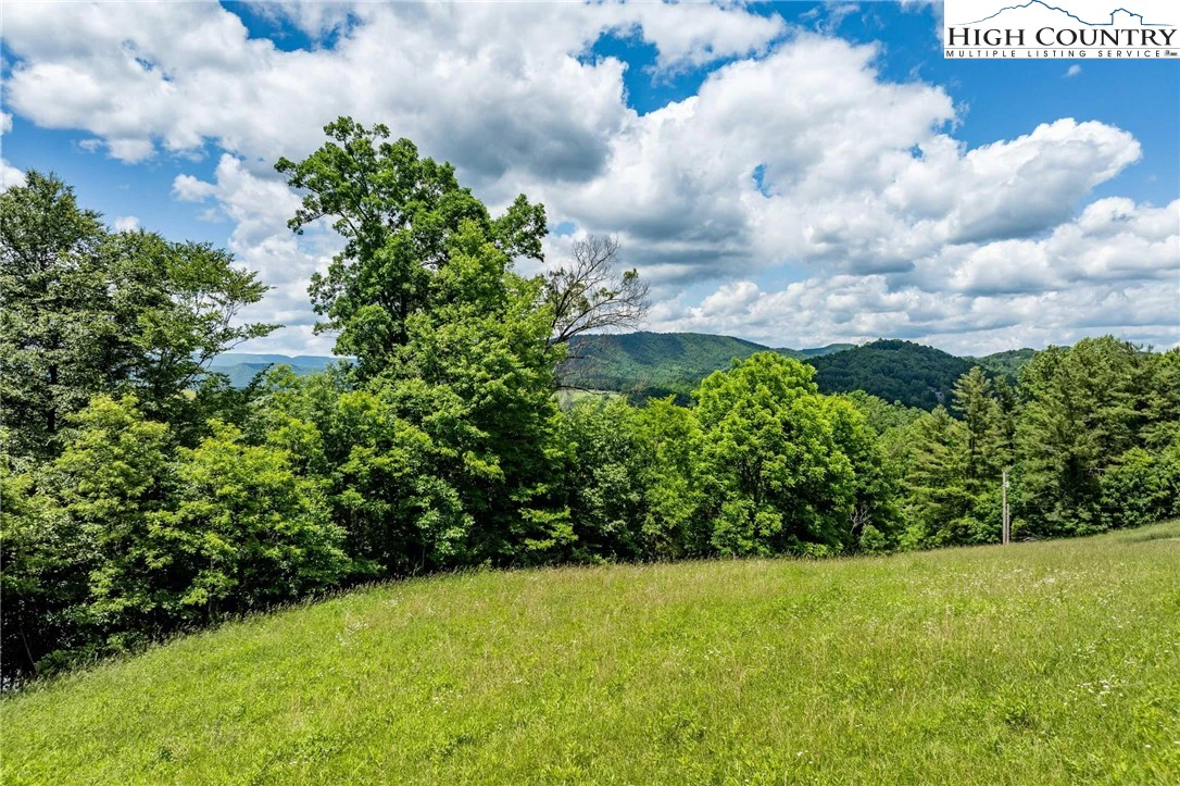 Image number 5 for the current listing