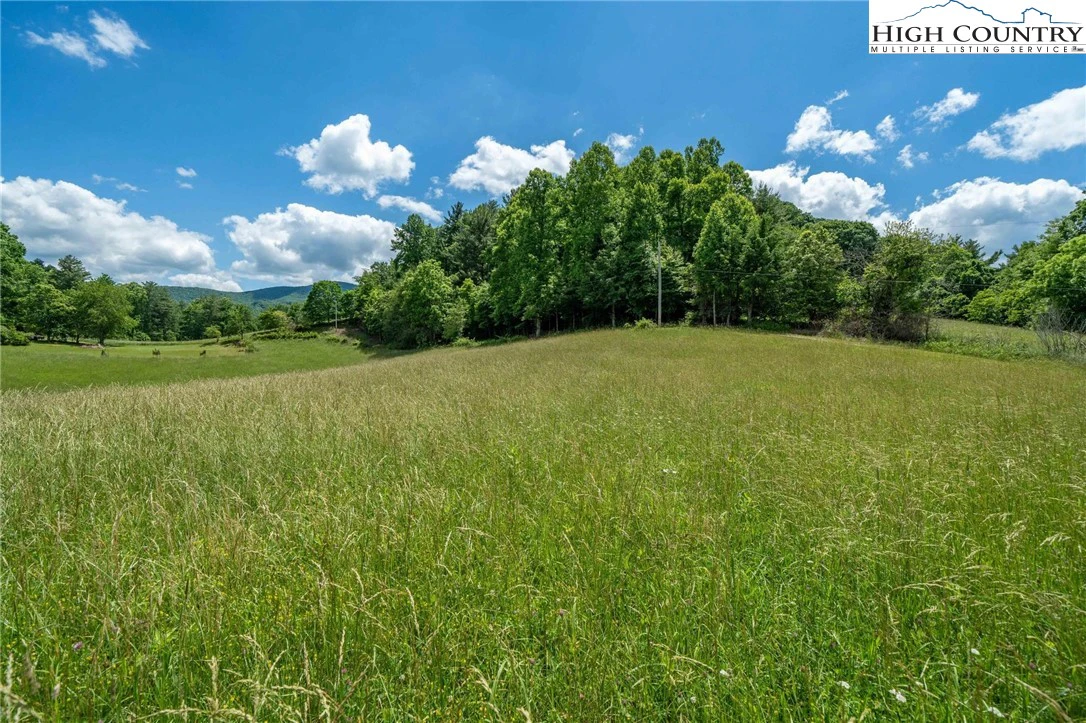 Image number 8 for the current listing