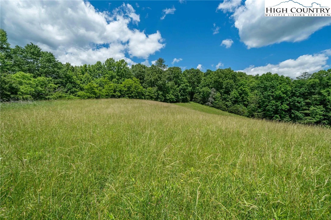 Image number 9 for the current listing