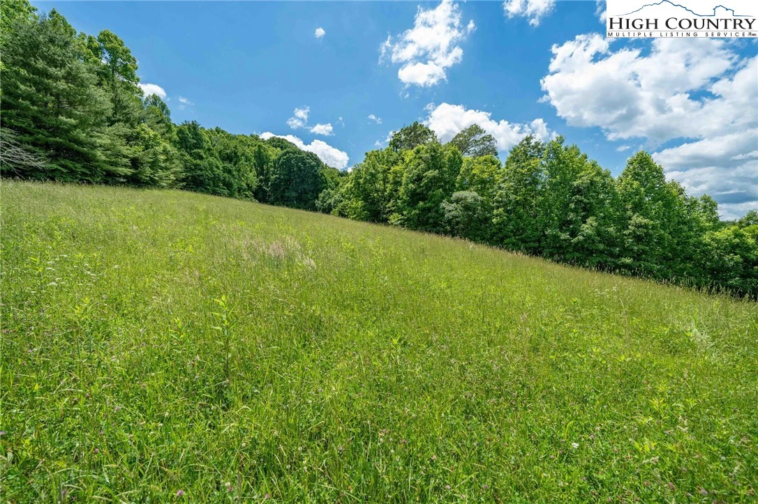 Image number 10 for the current listing