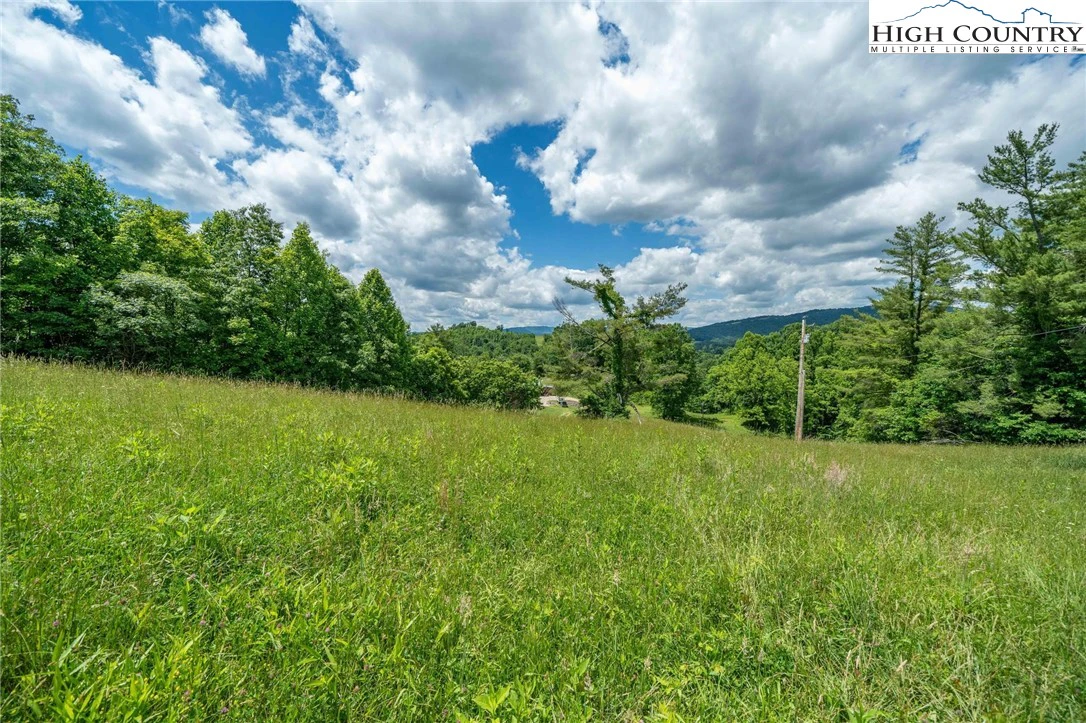 Image number 11 for the current listing