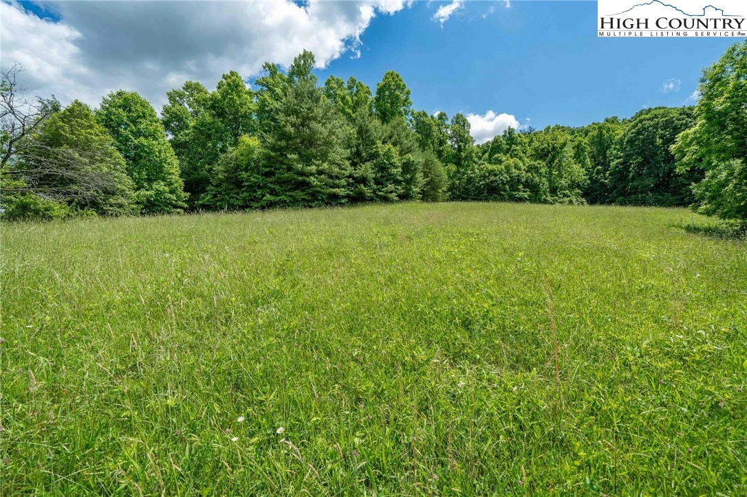 Image number 12 for the current listing