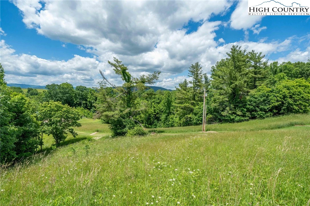 Image number 13 for the current listing