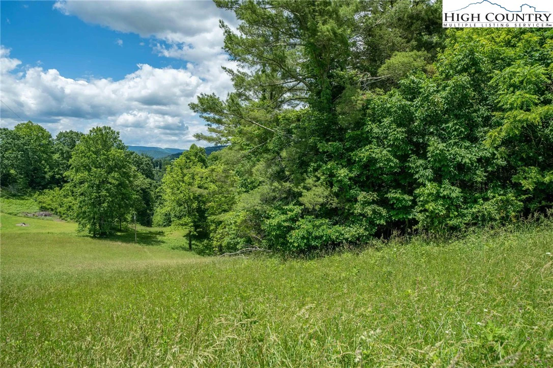 Image number 2 for the current listing