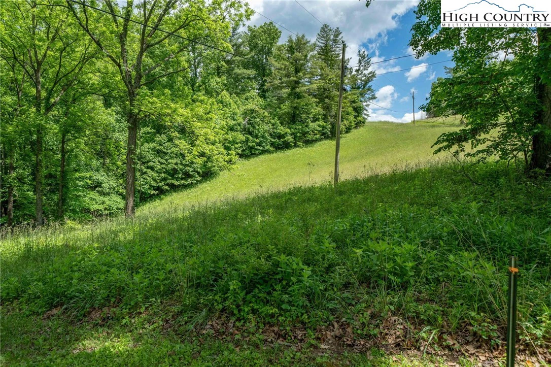 Image number 15 for the current listing