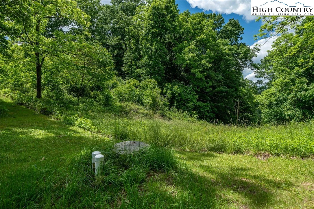 Image number 17 for the current listing