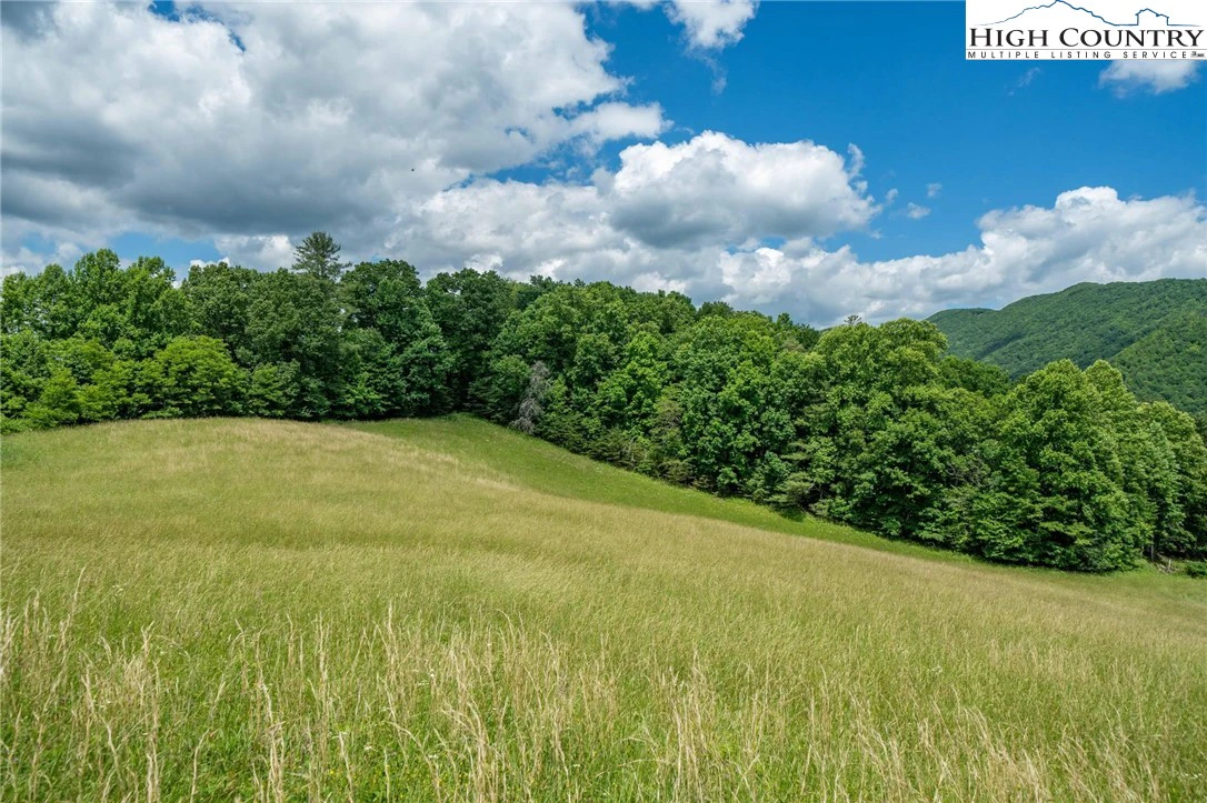 Image number 19 for the current listing