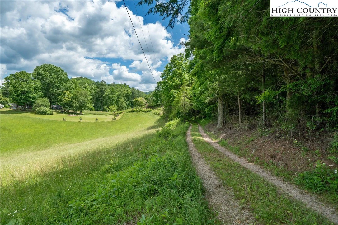 Image number 21 for the current listing