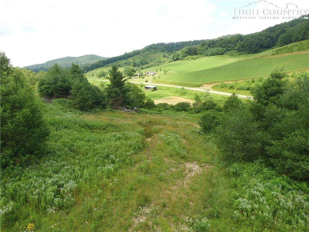 Image number 1 for the current listing
