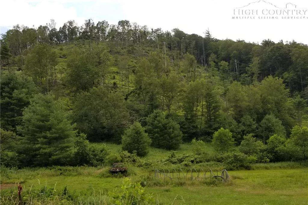 Image number 11 for the current listing