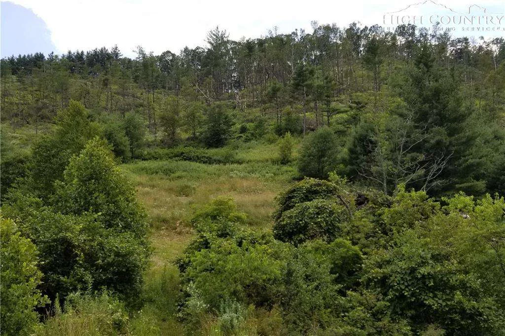 Image number 3 for the current listing