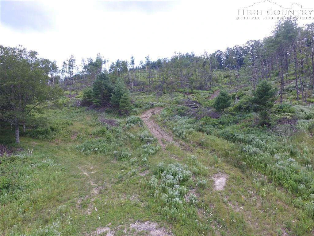 Image number 7 for the current listing