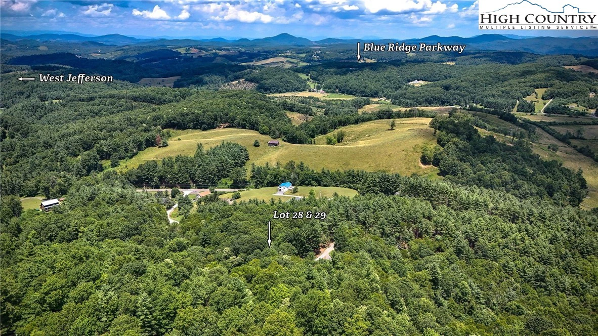 Image number 1 for the current listing