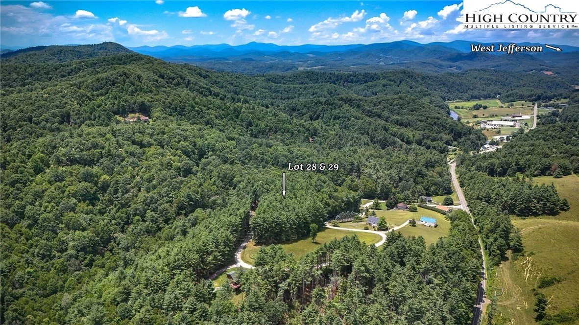 Image number 4 for the current listing