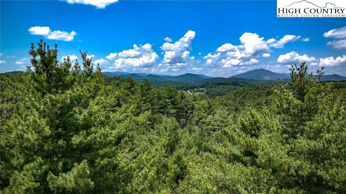 Image number 5 for the current listing