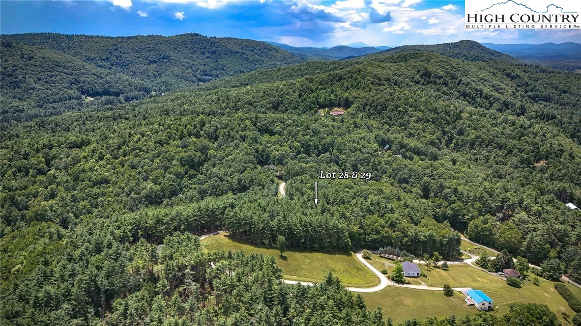 Image number 6 for the current listing