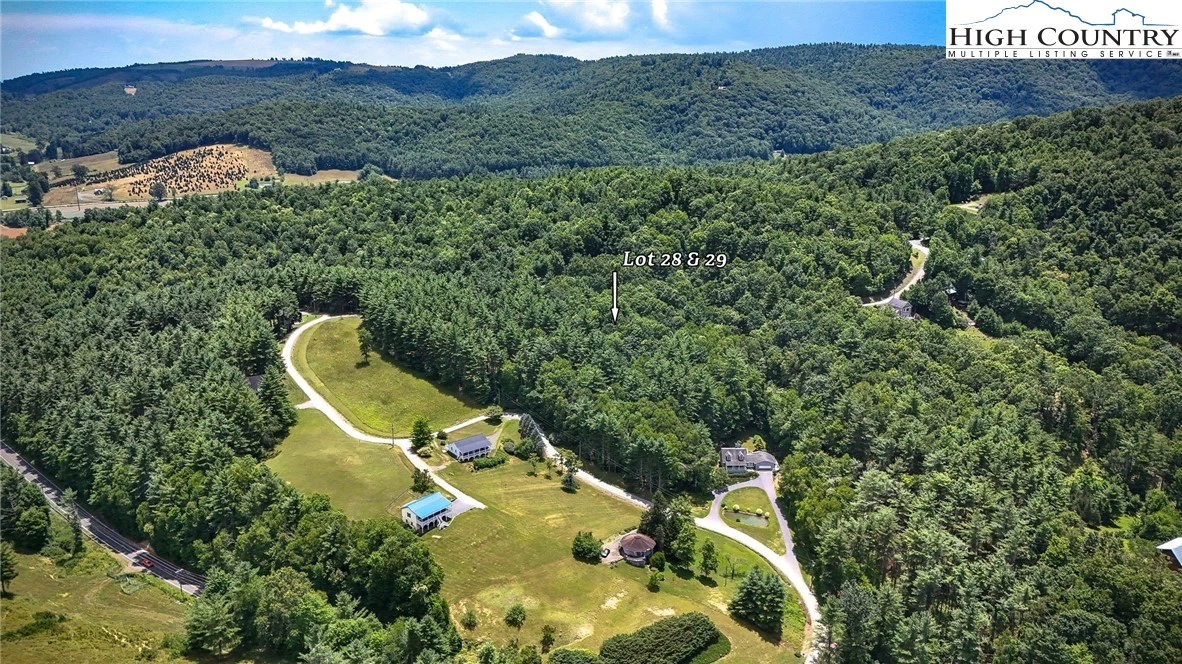 Image number 14 for the current listing