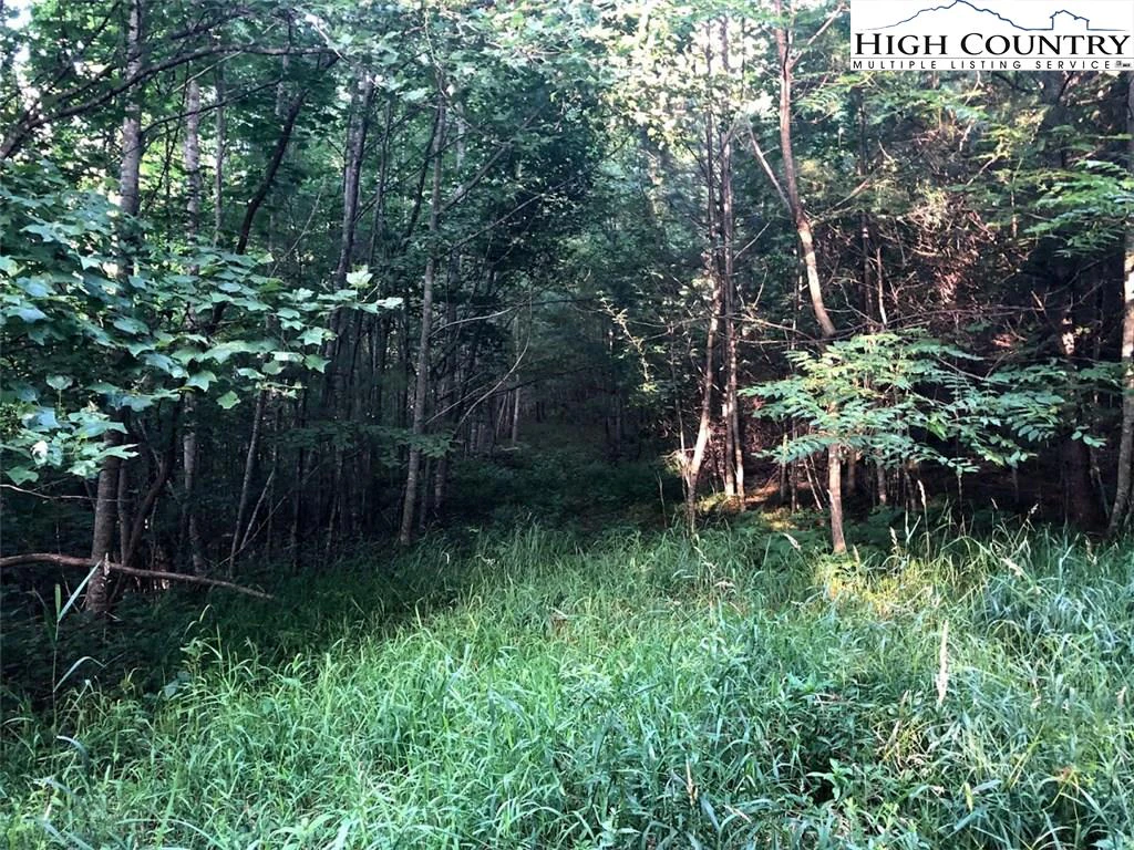 Image number 13 for the current listing