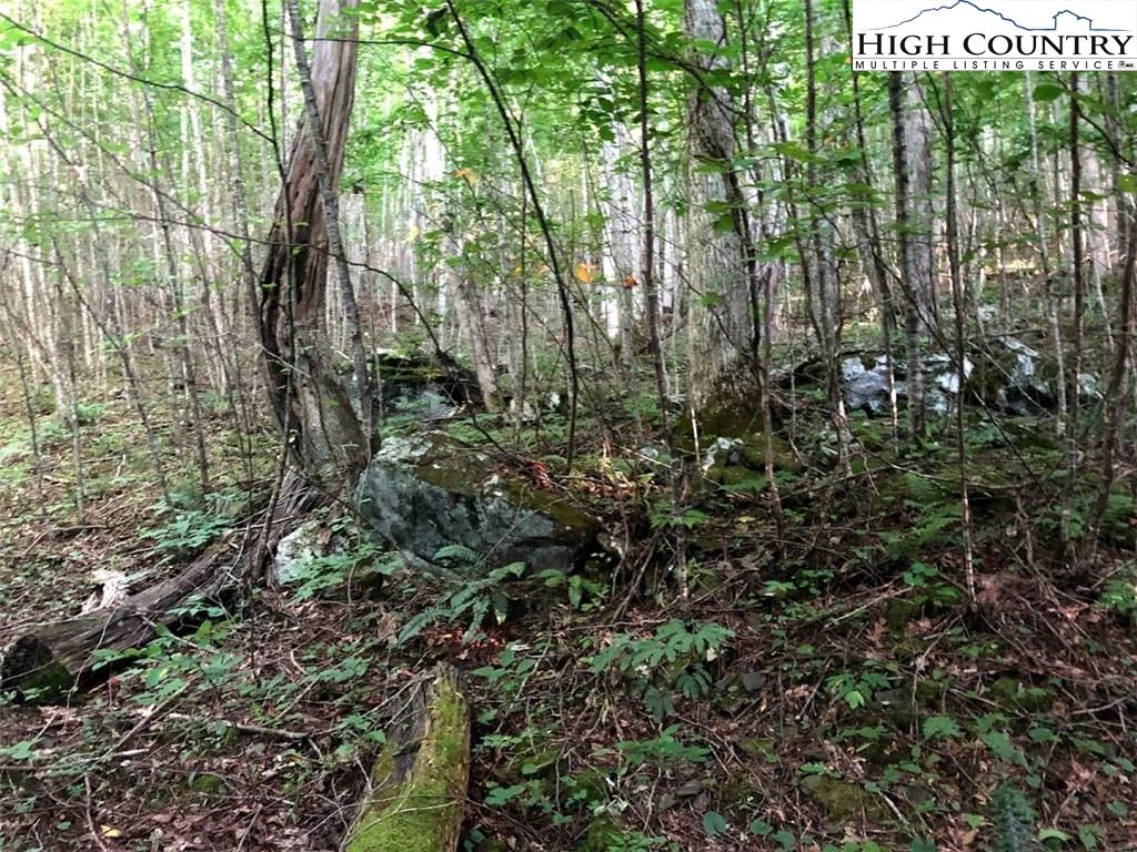 Image number 14 for the current listing